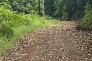 Vanuit Funchal: privétour in een jeep door het oosten of westen