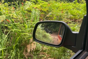 Vanuit Funchal: privétour in een jeep door het oosten of westen