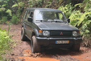 Vanuit Funchal: privétour in een jeep door het oosten of westen