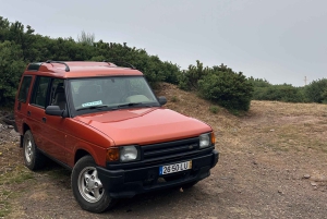 Vanuit Funchal: privétour in een jeep door het oosten of westen