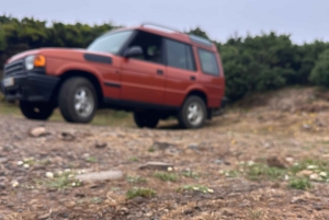 Vanuit Funchal: privétour in een jeep door het oosten of westen