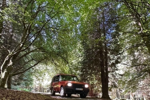 Vanuit Funchal: privétour in een jeep door het oosten of westen