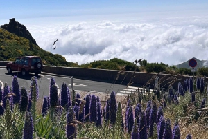 Vanuit Funchal: privétour in een jeep door het oosten of westen