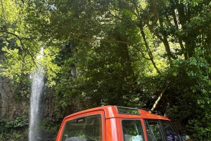 Vanuit Funchal: privétour in een jeep door het oosten of westen