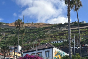 Vanuit Funchal: privétour in een jeep door het oosten of westen