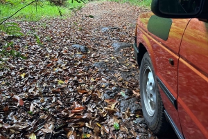 Vanuit Funchal: privétour in een jeep door het oosten of westen