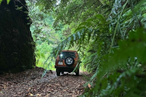 Vanuit Funchal: privétour in een jeep door het oosten of westen