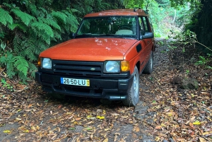 Vanuit Funchal: privétour in een jeep door het oosten of westen
