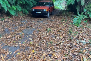 Vanuit Funchal: privétour in een jeep door het oosten of westen