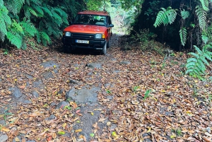 Vanuit Funchal: privétour in een jeep door het oosten of westen