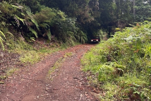 Vanuit Funchal: privétour in een jeep door het oosten of westen