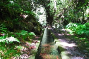 From Funchal: São Jorge Valleys Levada Walk