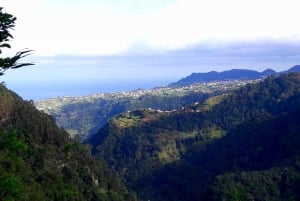 From Funchal: São Jorge Valleys Levada Walk