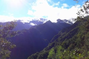 From Funchal: São Jorge Valleys Levada Walk