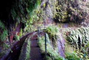 From Funchal: São Jorge Valleys Levada Walk