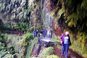 From Funchal: São Jorge Valleys Levada Walk