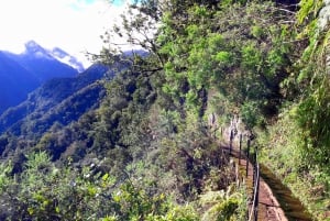 From Funchal: São Jorge Valleys Levada Walk