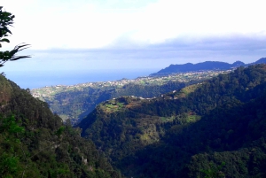 Fra Funchal: São Jorge Valleys Levada Walk