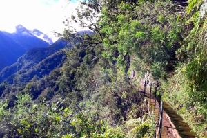 Fra Funchal: São Jorge Valleys Levada Walk