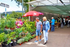 From Funchal: Sunday Market and Santo da Serra Half-Day Tour