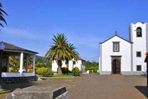 From Funchal: Sunday Market and Santo da Serra Half-Day Tour