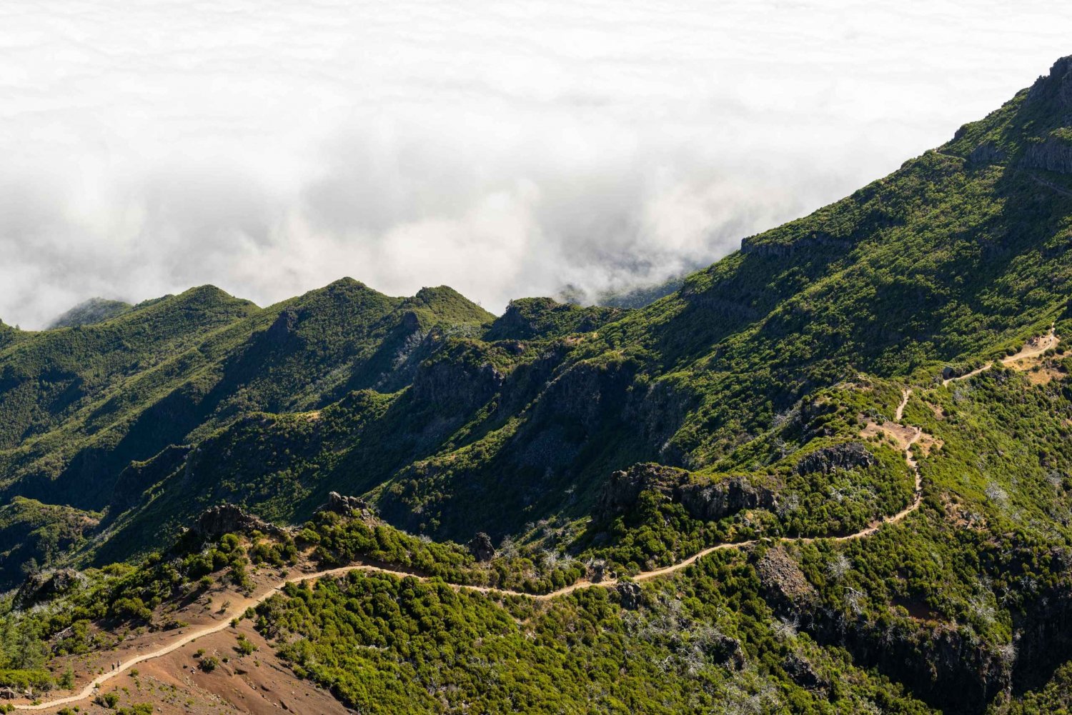 Fra Funchal: Transfer til Pico do Arieiro & Pico Ruivo Trail