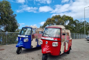 Fra Funchal: Tuk Tuk-tur til Camara de Lobos og Cabo Girao