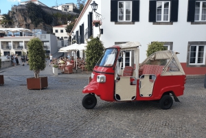 Fra Funchal: Tuk Tuk-tur til Camara de Lobos og Cabo Girao