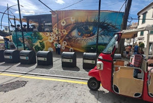 Fra Funchal: Tuk Tuk-tur til Camara de Lobos og Cabo Girao