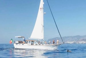 From Funchal: West Bays Sailing Tour with Lunch
