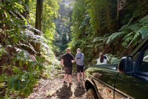 From Funchal: West Madeira Jeep 4x4 Day Tour with Pickup