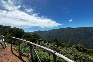 From Funchal: West Madeira Jeep 4x4 Day Tour with Pickup