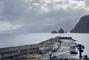 From Funchal: West Madeira Jeep 4x4 Day Tour with Pickup