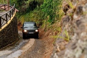 From Funchal: West Madeira Jeep 4x4 Day Tour with Pickup