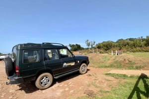 From Funchal: West Madeira Jeep 4x4 Day Tour with Pickup