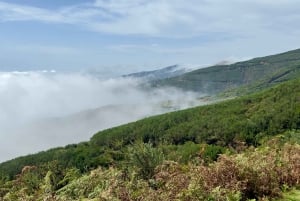 From Funchal:West Madeira Open-roof 4x4 Day Tour with Pickup