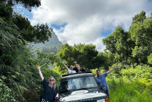 From Funchal:West Madeira Open-roof 4x4 Day Tour with Pickup