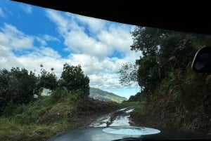 From Funchal:West Madeira Open-roof 4x4 Day Tour with Pickup