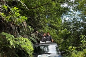 From Funchal:West Madeira Open-roof 4x4 Day Tour with Pickup