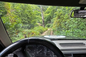 From Funchal:West Madeira Open-roof 4x4 Day Tour with Pickup