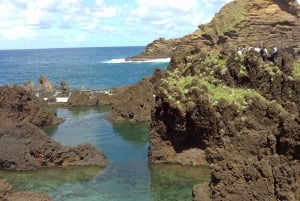 Desde Funchal: Excursión a las Cascadas del Oeste de Madeira y al Bosque de Fanal