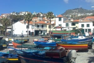 Desde Funchal: Excursión a las Cascadas del Oeste de Madeira y al Bosque de Fanal