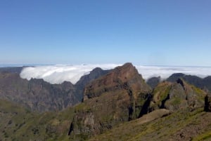 Desde Funchal: Excursión a las Cascadas del Oeste de Madeira y al Bosque de Fanal