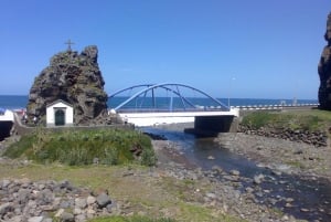 Desde Funchal: Excursión a las Cascadas del Oeste de Madeira y al Bosque de Fanal