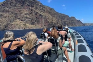 From Funchal: Whale and Dolphin Watching