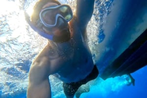 Do Funchal: Aventura com baleias e golfinhos