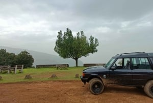 Full Day East Tour 4x4 in Madeira Islands