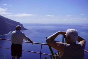 North-West Madeira: Porto Moniz, Seixal, São Vicente, Fanal