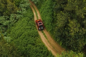 Funchal: East Madeira 4x4 Tour with Pico Arieiro w/Pick-up