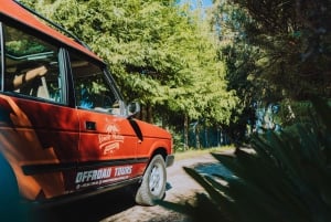 Funchal: East Madeira 4x4 Tour with Pico Arieiro w/Pick-up